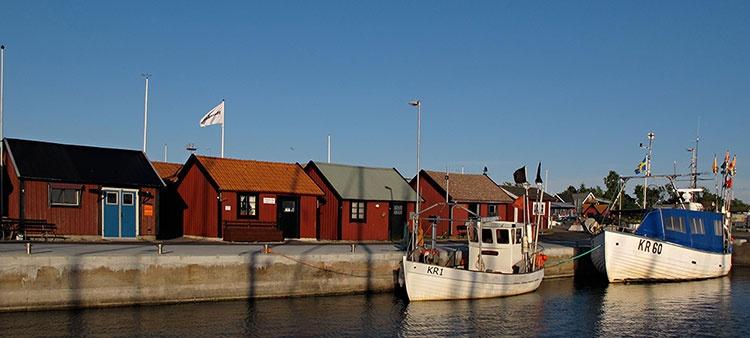 Leistungsspektrum Praxis Dr. Nikolaus Höllen: Internist, Sportmedizin, Allgemeinmedizin - 10781 Berlin-Schöneberg Fotomotiv: Wasser, Steine, Gräser